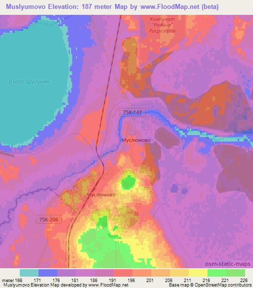 Muslyumovo,Russia Elevation Map