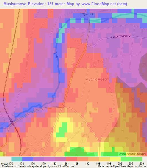 Muslyumovo,Russia Elevation Map