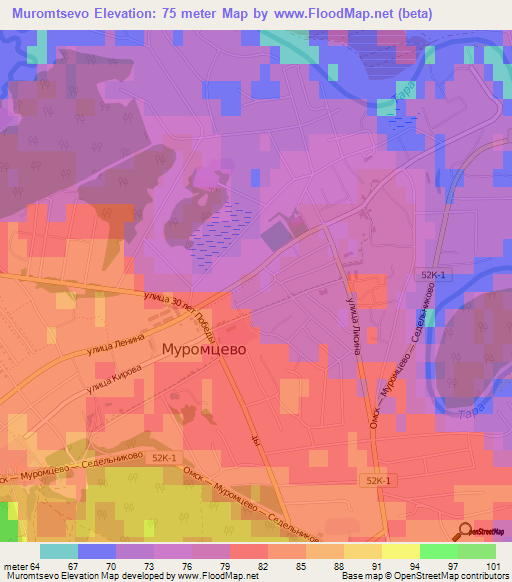 Muromtsevo,Russia Elevation Map