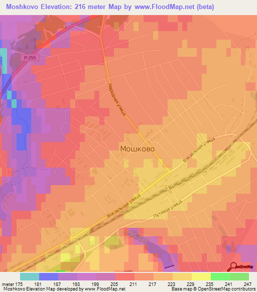 Moshkovo,Russia Elevation Map