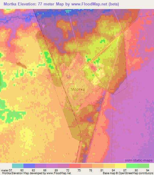 Mortka,Russia Elevation Map