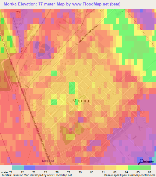 Mortka,Russia Elevation Map