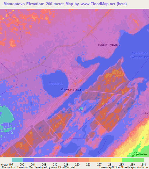 Mamontovo,Russia Elevation Map