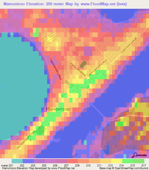 Mamontovo,Russia Elevation Map