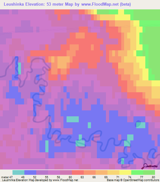 Leushinka,Russia Elevation Map