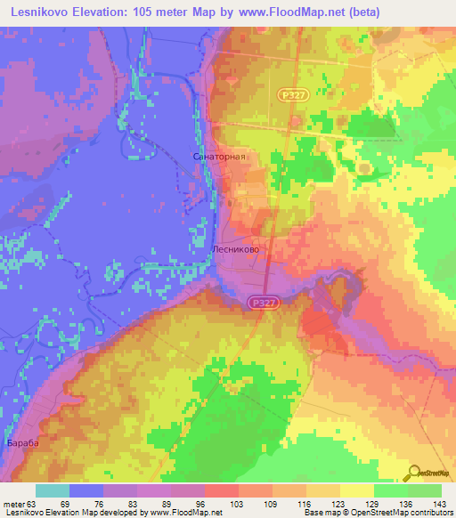 Lesnikovo,Russia Elevation Map