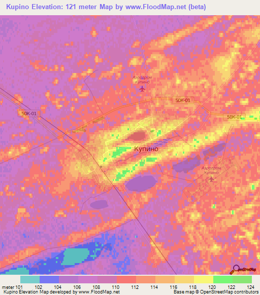 Kupino,Russia Elevation Map