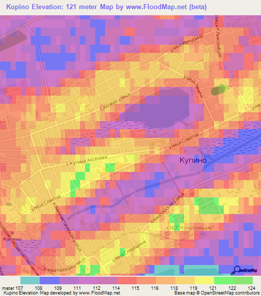 Kupino,Russia Elevation Map