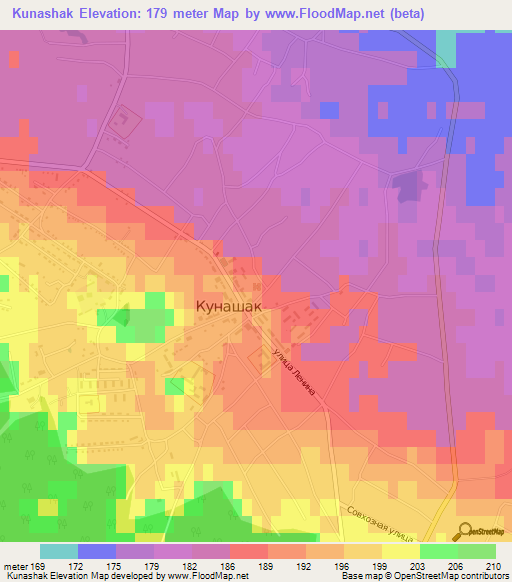 Kunashak,Russia Elevation Map