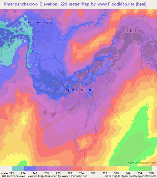 Krasnoshchekovo,Russia Elevation Map