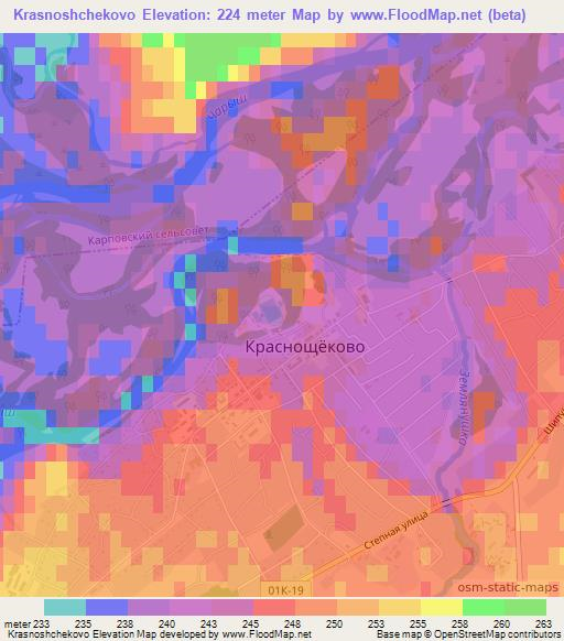 Krasnoshchekovo,Russia Elevation Map