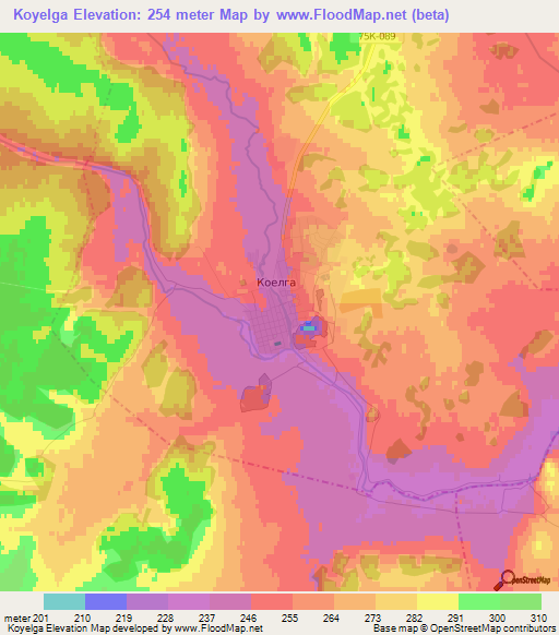 Koyelga,Russia Elevation Map