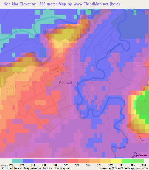 Kosikha,Russia Elevation Map