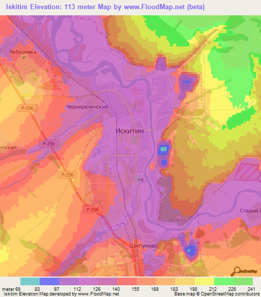 Iskitim,Russia Elevation Map