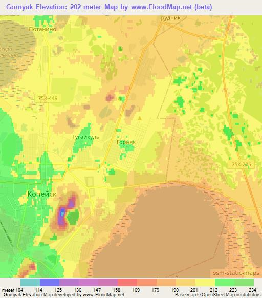 Gornyak,Russia Elevation Map