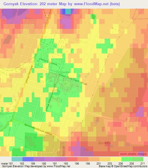 Gornyak,Russia Elevation Map