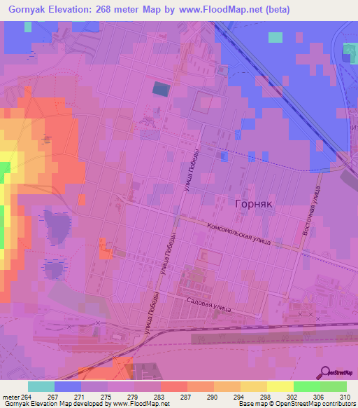 Gornyak,Russia Elevation Map