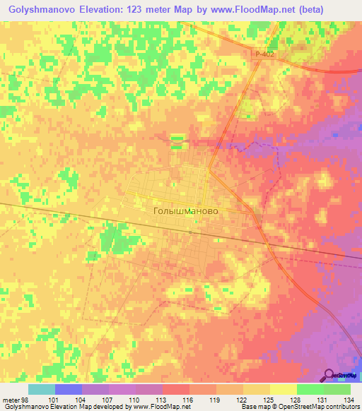 Golyshmanovo,Russia Elevation Map