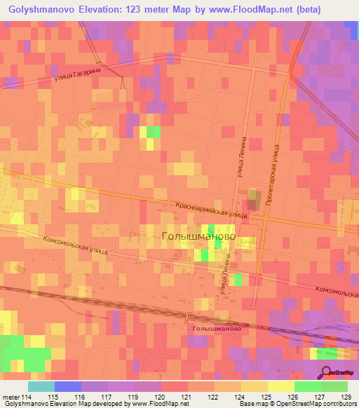 Golyshmanovo,Russia Elevation Map