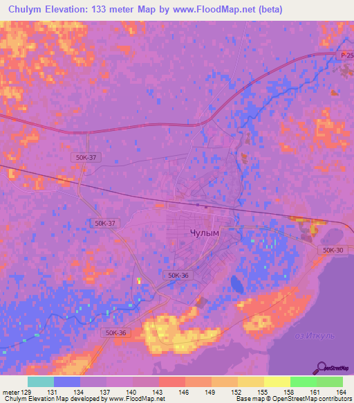 Chulym,Russia Elevation Map