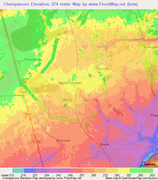 Cherepanovo,Russia Elevation Map