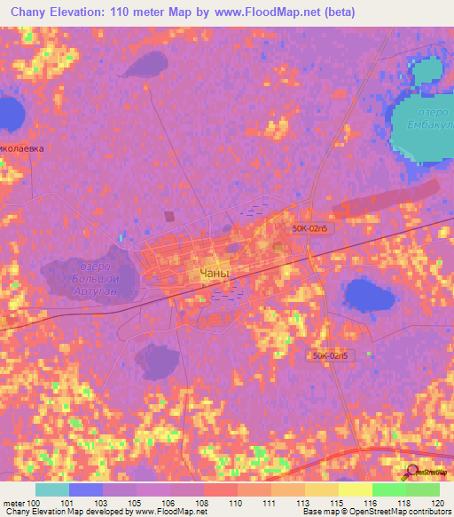 Chany,Russia Elevation Map