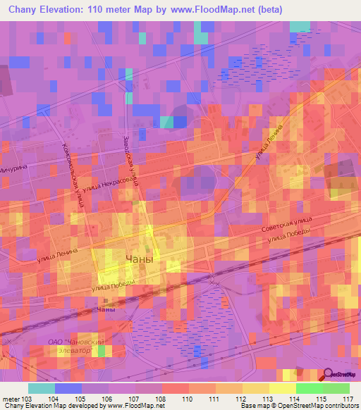 Chany,Russia Elevation Map