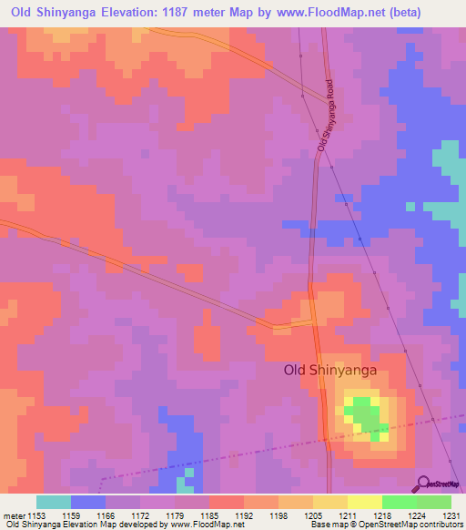 Old Shinyanga,Tanzania Elevation Map