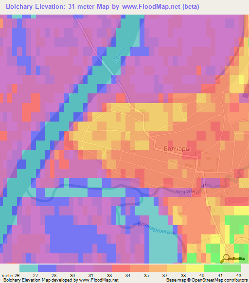 Bolchary,Russia Elevation Map