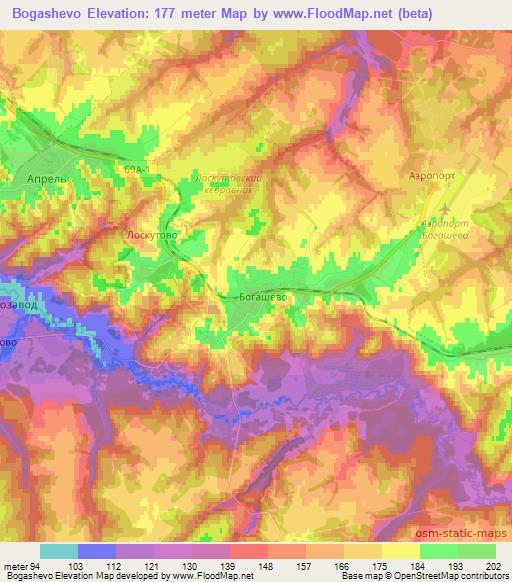 Bogashevo,Russia Elevation Map