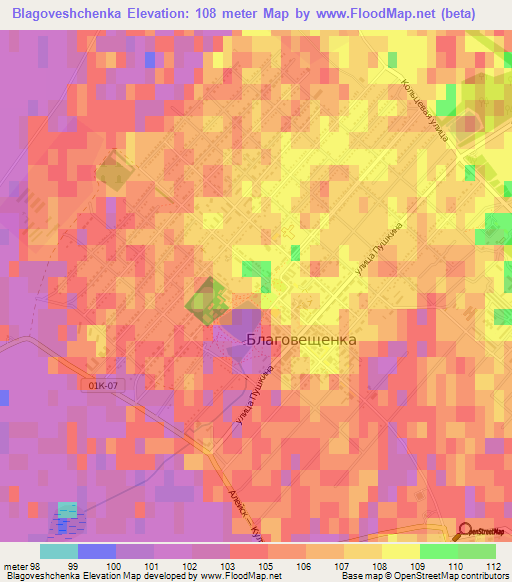 Blagoveshchenka,Russia Elevation Map