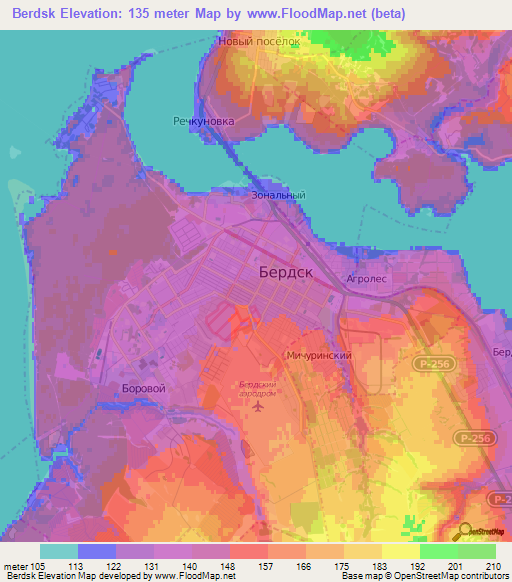 Berdsk,Russia Elevation Map