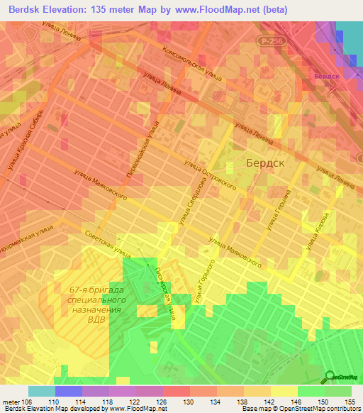 Berdsk,Russia Elevation Map