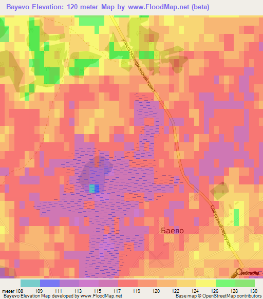 Bayevo,Russia Elevation Map