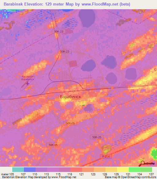 Barabinsk,Russia Elevation Map