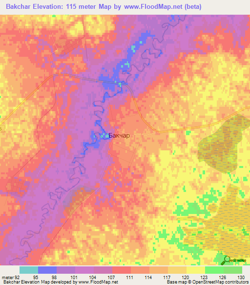 Bakchar,Russia Elevation Map