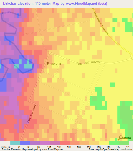 Bakchar,Russia Elevation Map