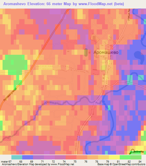 Aromashevo,Russia Elevation Map