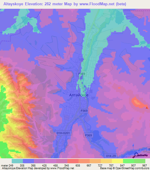 Altayskoye,Russia Elevation Map