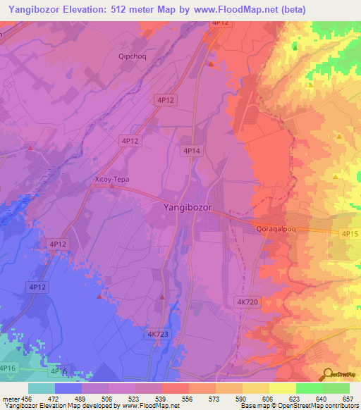 Yangibozor,Uzbekistan Elevation Map