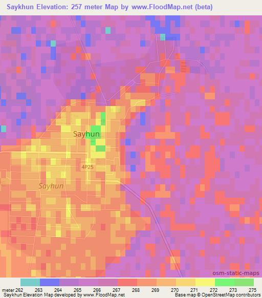 Saykhun,Uzbekistan Elevation Map