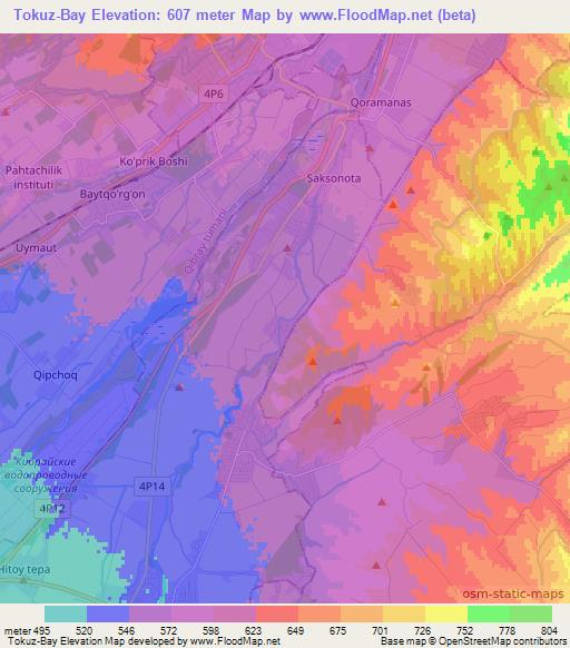 Tokuz-Bay,Uzbekistan Elevation Map