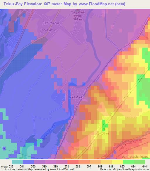 Tokuz-Bay,Uzbekistan Elevation Map