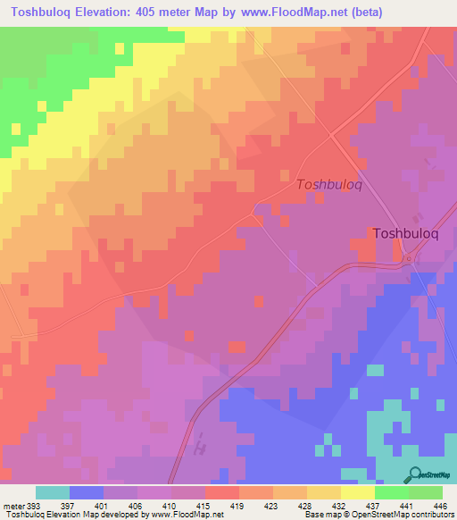 Toshbuloq,Uzbekistan Elevation Map