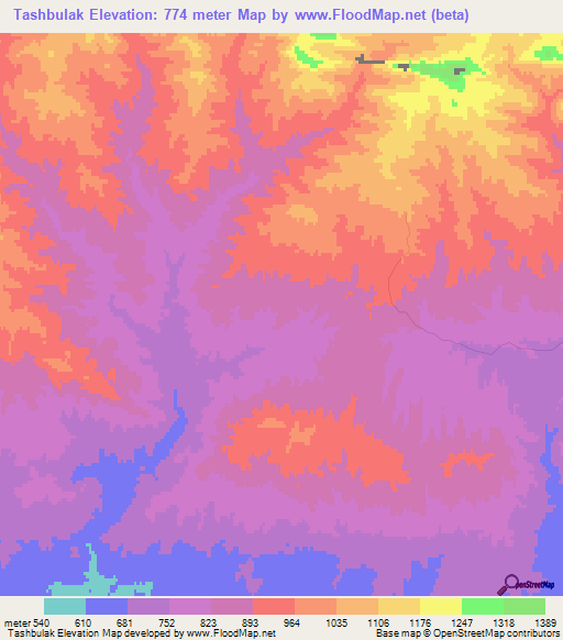 Tashbulak,Uzbekistan Elevation Map