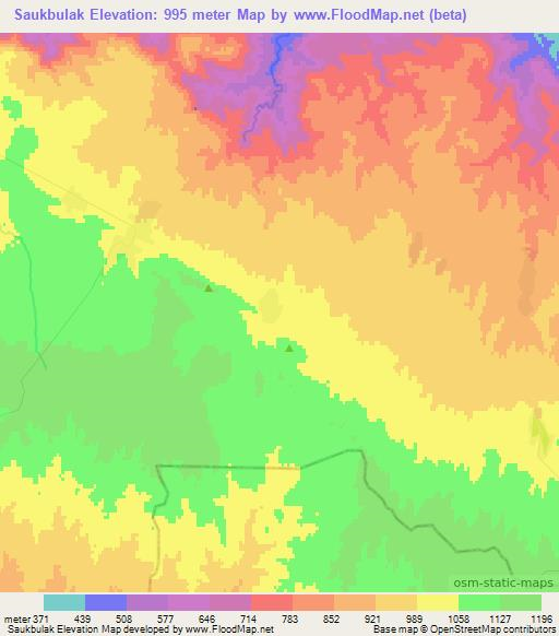 Saukbulak,Uzbekistan Elevation Map