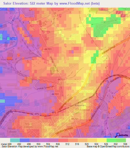 Salor,Uzbekistan Elevation Map