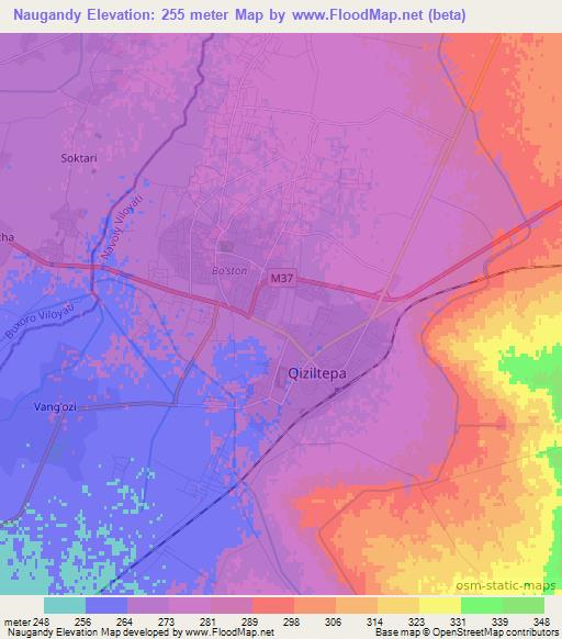 Naugandy,Uzbekistan Elevation Map