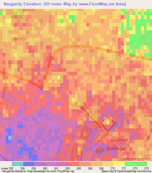Naugandy,Uzbekistan Elevation Map