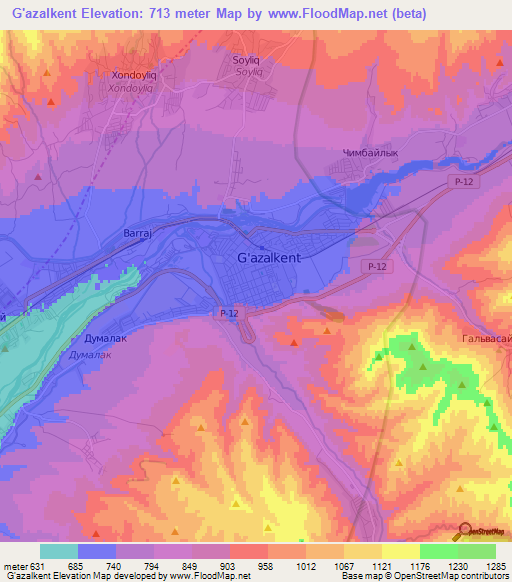 G'azalkent,Uzbekistan Elevation Map